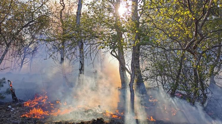 Und wieder ein Moorbrand: Diesmal brennt eine Fläche von rund 20 Hektar zwischen Vechta und Diepholz. Foto: NWM-TV