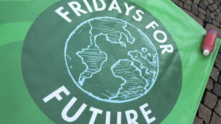 Große Demonstrationen durch "Fridays for Future" gibt es wegen der Coronakrise derzeit nicht