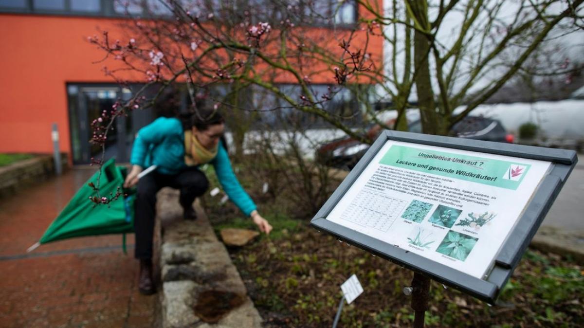 Botanischer Garten der Uni Osnabrück bleibt geschlossen