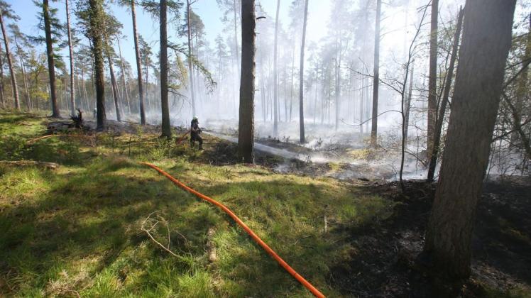 In einem Kiefernwald in Lingen-Laxten ist es am Mittwoch zu einem Waldbrand gekommen.