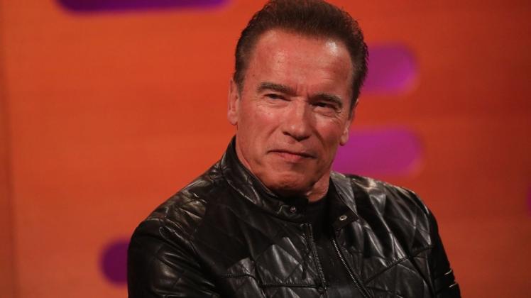 Mittagessen mit Gästen ist zuhause im Moment schwierig. Arnold Schwarzenegger bittet stattdessen seine Esel zu Tisch.