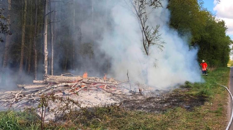 Das Feuer am Rande eine riesigen Waldgebietes konnte von den Feuerwehren schnell unter Kontrolle gebracht werden.