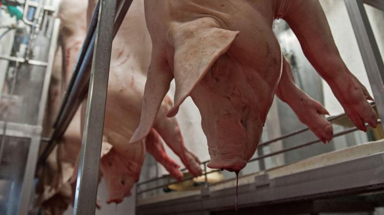 Nach der Veröffentlichung mutmaßlicher Tierqual in niedersächsischen Schlachthöfen waren unangekündigte Kontrollen durchgeführt worden. In vielen Betrieben entdeckten die amtlichen Kontrolleure Probleme.