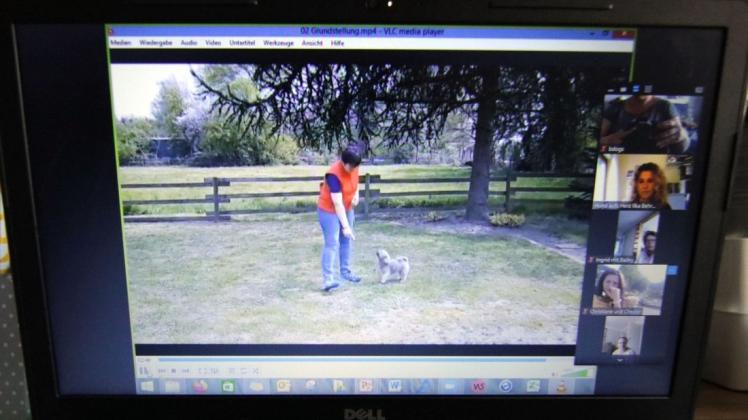 So kann Ilka Behrens auch in Zeiten von Corona für ihre Kunden da sein: Die Hundetrainerin hat einen Unterricht per Videochat gestartet.