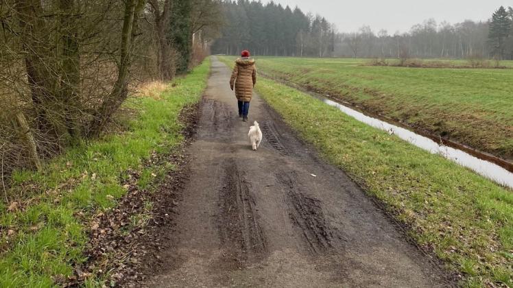 Ausgebaut wird dieser Rad- und Wirtschaftsweg zwischen Sögel und Werlte, der auch bei Spaziergängern als beliebt gilt. Ausgebaut wird dieser Rad- und Wirtschaftsweg zwischen Sögel und Werlte, der auch bei Spaziergängern als beliebt gilt.