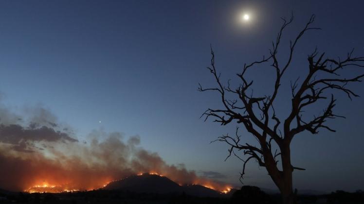 Flammen schlagen bei Buschfeuern in einem Waldgebiet nahe Clear Range, südlich von Canberra, in die Höhe. Foto: dpa/Rick Rycroft/AP