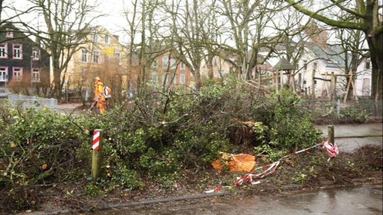 Osnabrück, Katharinenviertel: Unser Fotograf Michael Gründel hat sich den Ort noch einmal angeschaut, an dem gestern ein Baum auf ein Wohnhaus stürzte. 