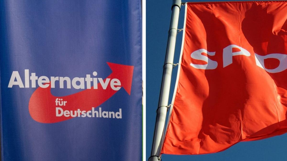 Wie die SPD mit dem "Rechtsruck" in der Politik | NOZ
