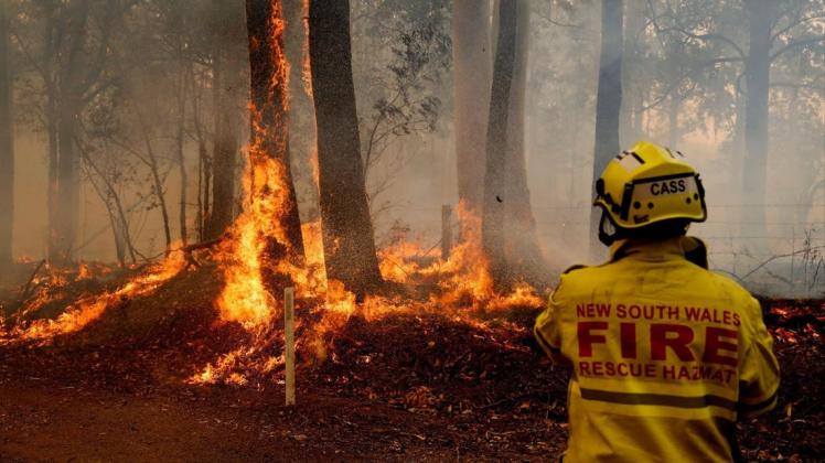 Fünf Feuerwehrmänner verloren bisher in den Flammen ihr Leben. Foto: Imago Images/Darren Pateman