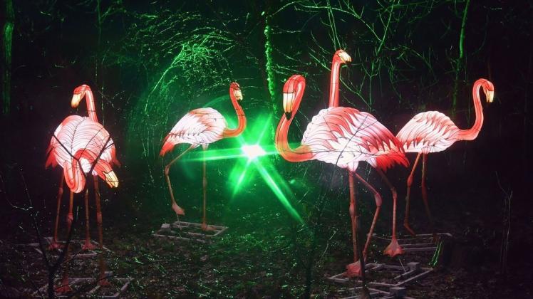Tiere, die sonst nur bei Tageslicht entdeckt werden können, gibt es nun auch bei tiefster Dunkelheit zu sehen. Hier in Form eine Gruppe hell leuchtender Flamingos.