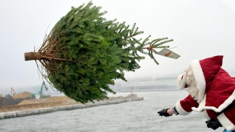 Fliegende Weihnachtsbäume? Nein, auf diesem Foto ist die traditionelle Schenkung im Hamburger Hafen zu sehen. Dort werden die Bäume vor Weihnachten auf die Schiffe geworfen. Foto: dpa/Angelika Warmuth