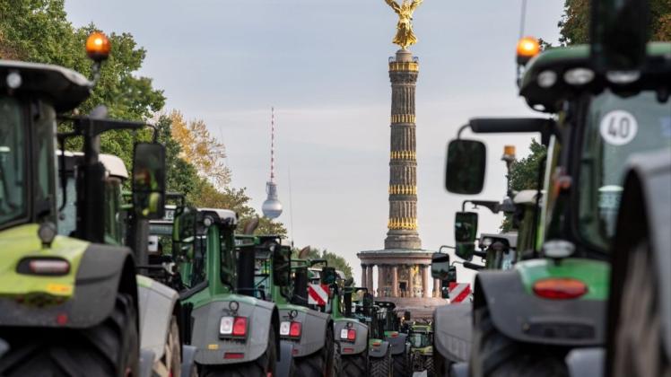 Bauern-Demo in Berlin. Foto: dpa/Bernd von Jutrczenka