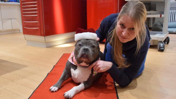 Betty freut sich auf Weihnachten: Die geschundene Hündin, hier zusammen mit Yvonne Preiß von der Delmenhorster Tierarztpraxis von Dr. Angelika Hoffmann, ist weiter auf dem Weg der Besserung. Foto: Christopher Bredow Betty freut sich auf Weihnachten: Die geschundene Hündin, hier zusammen mit Yvonne Preiß von der Delmenhorster Tierarztpraxis von Dr. Angelika Hoffmann, ist weiter auf dem Weg der Besserung. Foto: Christopher Bredow