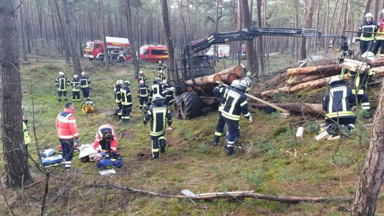 Das Szenario eines Forstunfalls stand im Mittelpunkt der Übung der Feuerwehr Haren in einem Waldstück in Emen. 