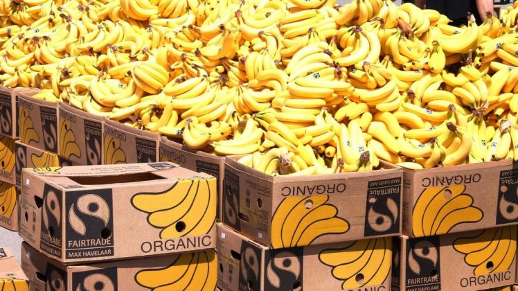 In Bananenkisten sind mehrere Kilogramm Kokain gefunden worden. Symbolfoto: imago images/Geisser