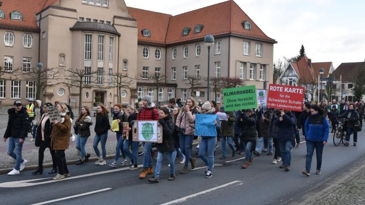 Etwa 100 Demonstranten beteiligten sich am zweiten "Fridays for Future"-Streik in Delmenhorst. Foto: Christopher Bredow