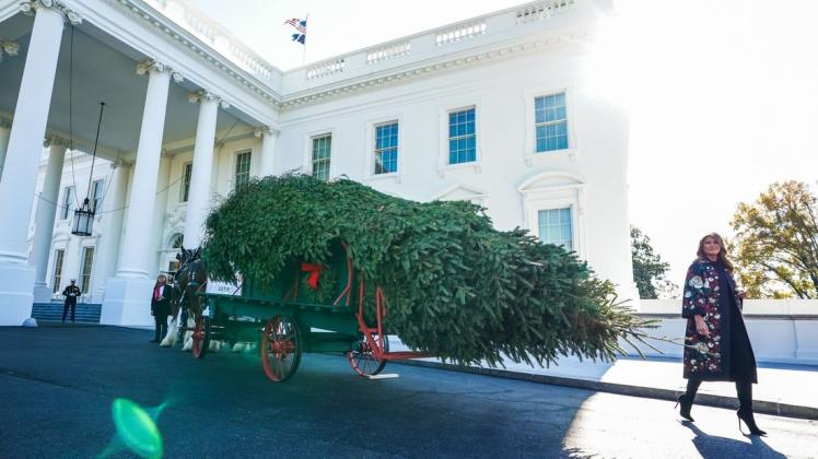 Die First Lady der USA ließ sich eine große Douglasie per Pferdekutsche ins Weiße Haus liefern. Foto: imago images/UPI Photo/Kevin Dietsch