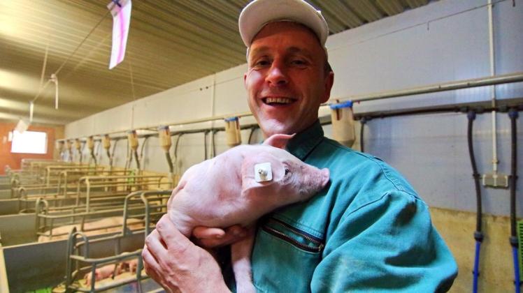 Konventionelle Schweinemäster wie Gernot Schierenbeck wünschen sich von der Politik verbindliche Richtlinien, die eine langfristige Planung möglich machen.  Foto: Bettina Dogs-Prößler