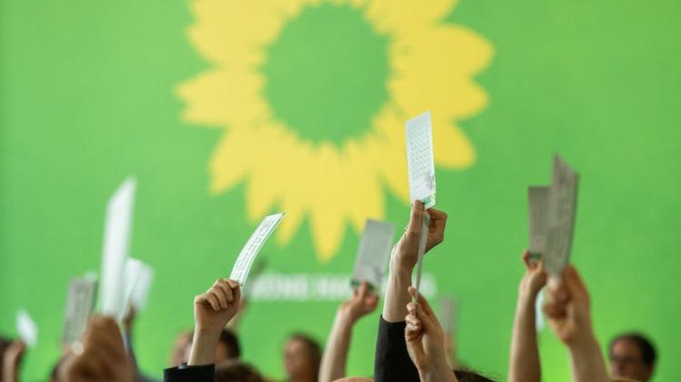 Abstimmung der Grünen auf einer Landesmitgliederversammlung. Foto: Daniel Reinhardt/dpa
