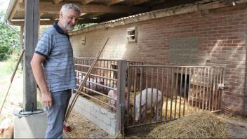 Auslauf, frische Luft, Tageslicht und reichlich Stroh haben die insgesamt 350 Schweine der Lotter Neuland-Landwirtes Martin Steinmann. Foto: Angelika Hitzke