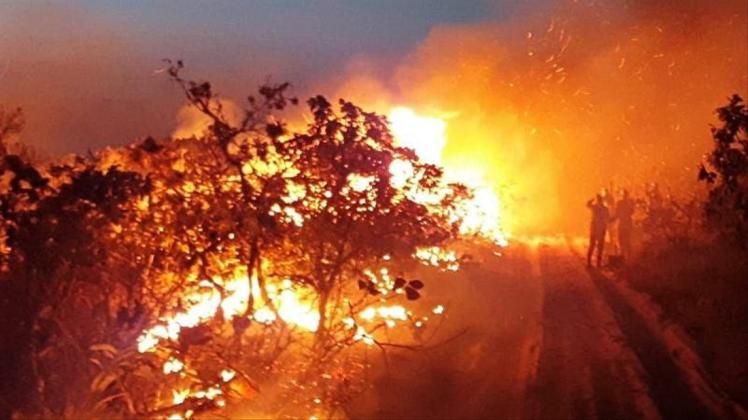 Waldbrand im Naturpark Chapada dos Guimaraes in Brasilien. Seit Wochen wüten Tausende Feuer im Amazonasgebiet und den angrenzenden Steppengebieten. 