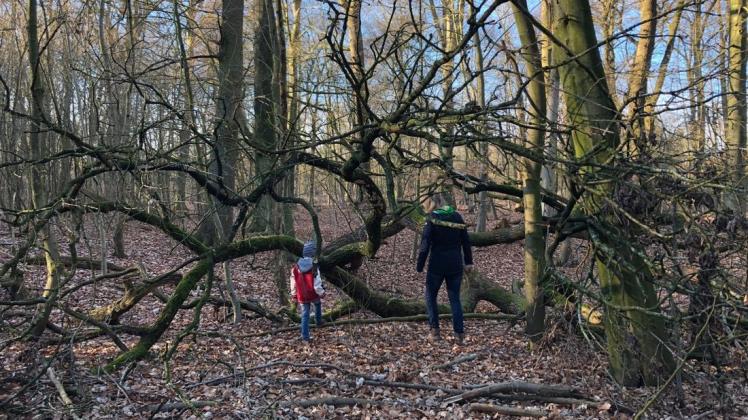 Für Familien zu jeder Jahreszeit ein beliebtes Ausflugsziel: der Tiergarten in Delmenhorst. Foto: Thomas Breuer Für Familien zu jeder Jahreszeit ein beliebtes Ausflugsziel: der Tiergarten in Delmenhorst. Foto: Thomas Breuer