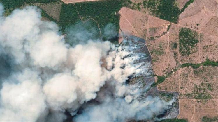 Das Satellitenbild zeigt die Brände in den betroffenen Regionen in dem brasilianischen Bundesstaat Pará. 