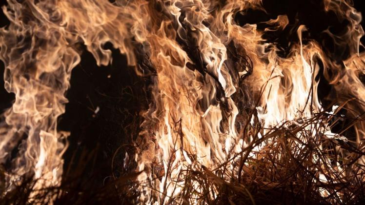 In Brasilien wüten derzeit die schwersten Waldbrände seit Jahren. Seit Januar 2019 sollen die Feuer und Brandrodungen im größten Land Südamerikas im Vergleich zum Vorjahreszeitraum um 83 Prozent zugenommen haben. Foto: dpa/Leo Correa/AP