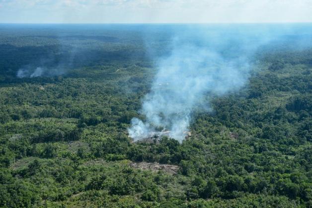Rauch steigt aus dem Wald in einer Region des Amazonas nahe der kolumbianischen Grenze. Foto: dpa/Chico Batata