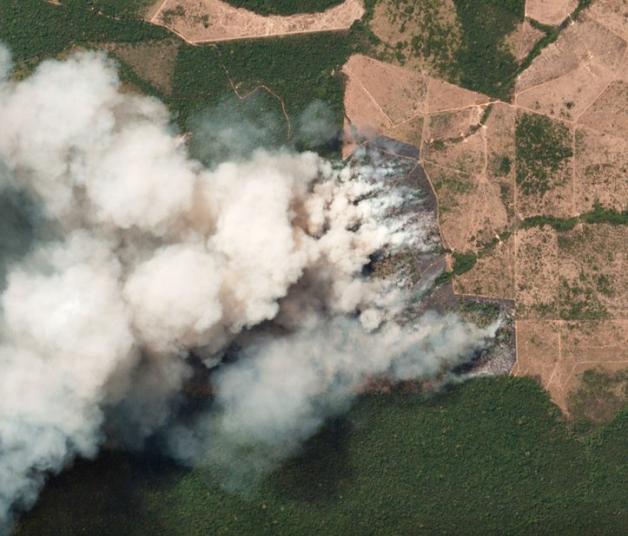 Dieses Satelliten-Foto zeigt die Brände im brasilianischen Bundesstaat Pará. Foto: dpa/picture alliance/Planet Labs Inc.