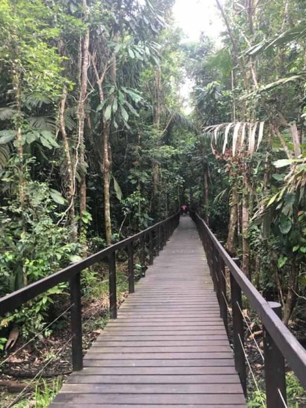  Tropischer Regenwald in Costa Rica. Foto: Martin Behrens 
