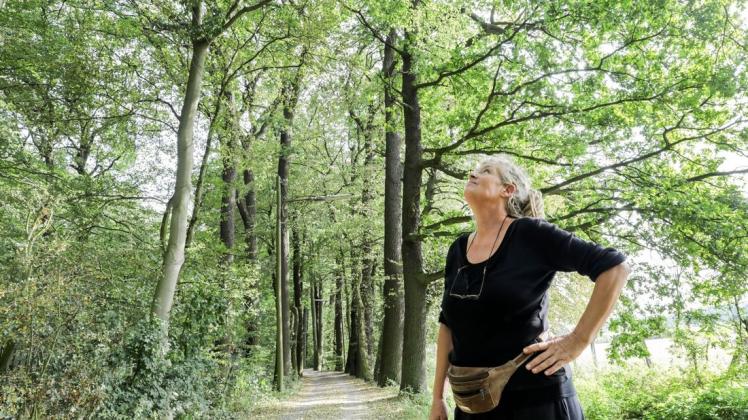 Aktiv für die Stadtbäume in Osnabrück: Dagmar Lücke veranstaltet ab Mittwoch Baumspaziergänge durch Osnabrück. Foto: Jörn Martens