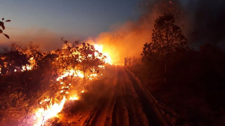 Seit Wochen wüten tausende Feuer im Amazonasgebiet und zerstören Brasiliens grüne Lunge. Foto: dpa/Christian Niel Berlinck
