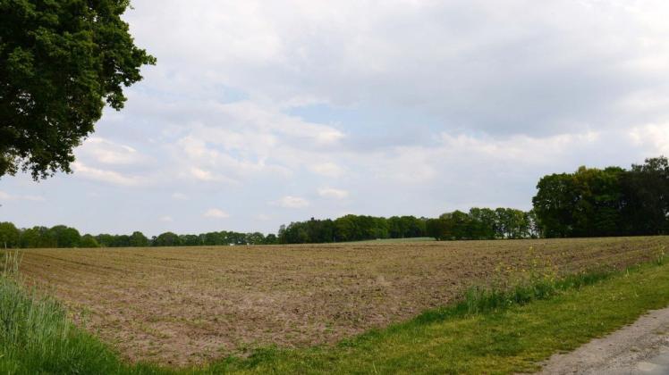 Östlich der Overbergstraße, am nördlichen Ortsrand gelegen, will die Gemeinde Merzen auf einer rund 3,7 Hektar großen Fläche ein Wohngebiet ausweisen. Foto: Christian Geers