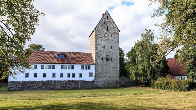 Die Burg Wittlage ist am Programm des Denkmalstages beteiligt. Foto: Stefan Gelhot