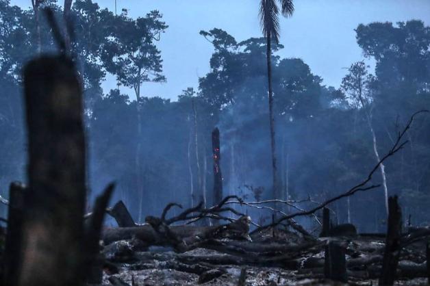 Für immer verloren: In Südamerika wüten derzeit schwere Waldbrände. Vor allem Brasilien, Venezuela, Bolivien und Kolumbien sind von den Feuern betroffen. Foto: dpa/Gabriela Bilu/XinHua