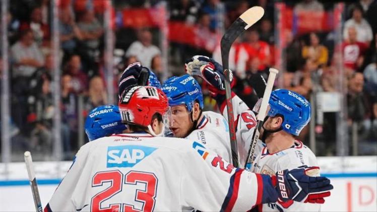 Die Spieler von Adler Mannheim feiern einen Treffer beim Spiel gegen die Ice Tigers. Foto: Daniel Karmann
