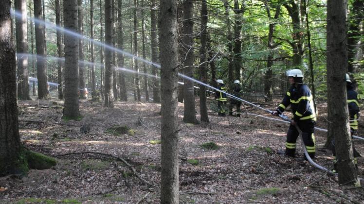 Acht Trupps mit Strahlrohren waren bei der Übung zur Bekämpfung des Waldbrandes im Einsatz. Foto: Björn Thienenkamp