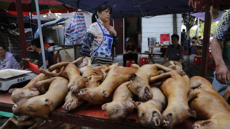 Hundefleisch gilt in Vietnam als Delikatesse. Jährlich werden für den Verzehr fünf Millionen Tiere getötet. Foto: dpa/Wu Hong
