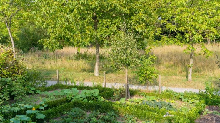 Gärten, Wiesen und wildwachsende Hecken prägen das Wiesental. Foto: André Havergo