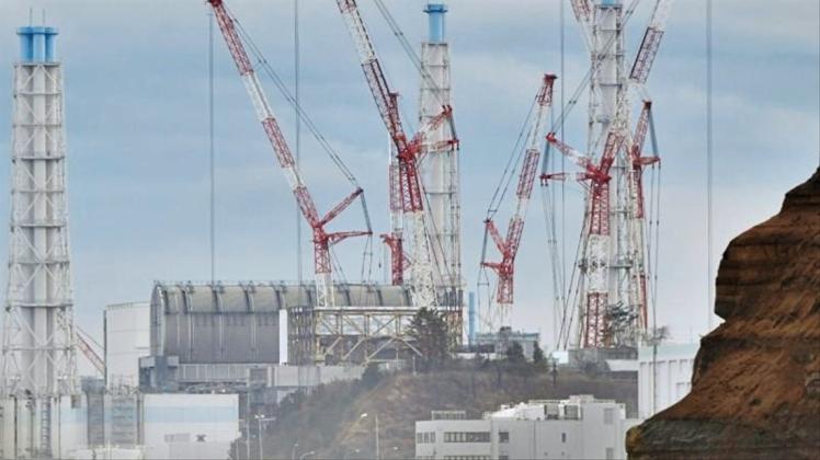 Vor Acht Jahren kam es im Atomkraftwerk Fukushima Daiichi nach einem Erdbeben zum Super-Gau. 
