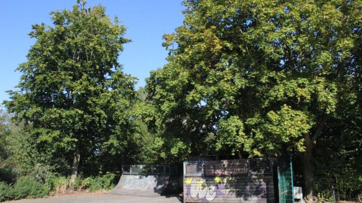 Der Zaun um den seit einem Jahr gesperrten Skatepark in Melle ist abgebaut, die Aufbauten (Obstacles) abgebaut und in der Quarterpipe (rechts) gelagert. Foto: Michael Hengehold