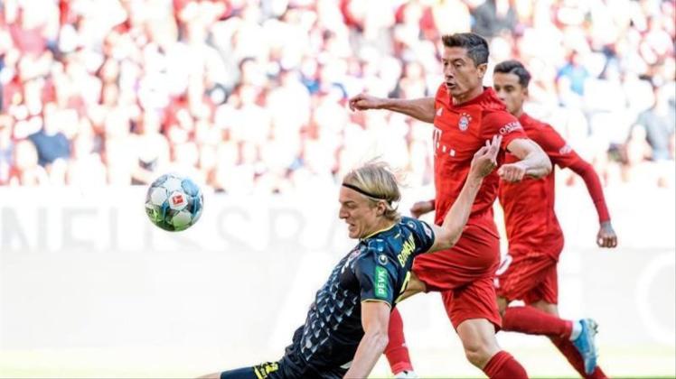 Robert Lewandowski (M) trifft zum 1:0 für Bayern München gegen den Kölner Sebastiaan Bornauw (l). Foto: Matthias Balk