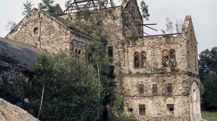 Die Birken wuchsen prächtig auf dem ruinösen Mauerwerk des Haseschachtgebäudes. Das Foto aus dem Jahr 1983 beweist, dass schnell etwas passieren musste, um die Ruine vor dem endgültigen Untergang zu bewahren. 1985 begannen die Sicherungsmaßnahmen. 