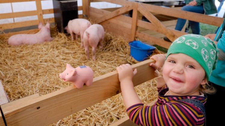 Begeistert darüber, dass ihr Plasteschweinchen fast wie das Original aussieht, war die zweijährige Hannah.