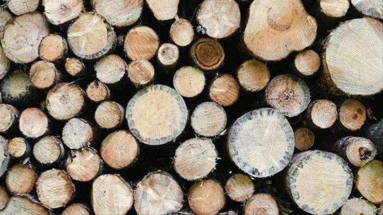 Gefällte Bäume: Dem deutschen Wald geht es miserabel. Foto: Nicolas Armer