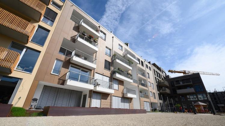 Neubau mit Holz-Grundgerüst in Tübingen in Baden-Württemberg. Der Südwesten ist in Sachen Holzbau bundesweiter Spitzenreiter. Foto: Sebastian Gollnow/dpa