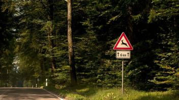 Rehe können auch Radfahrern in die Quere kommen. Foto: Colourbox.de