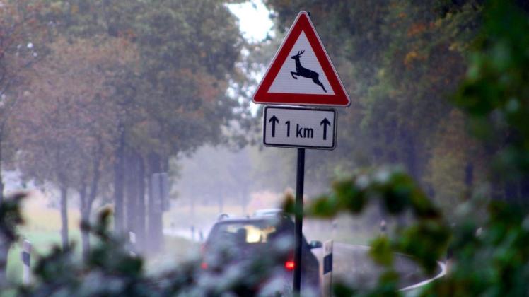 Wo es viel Wildwechsel gibt, fordern Verkehrsschilder die Autofahrer zu besonderer Aufmerksamkeit auf. Foto: Bettina Dogs-Prößler