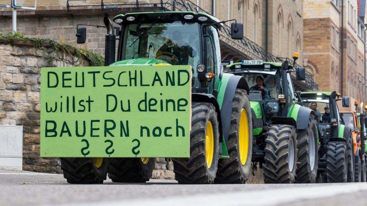 Kommentar zu BauernDemos Ein Lebenszeichen aber was folgt NOZ